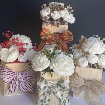Wax Melt Arrangement