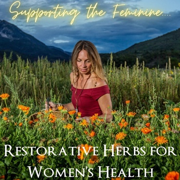 Restorative Herbs for Womens Health