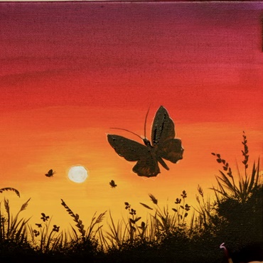 Sunset Butterfly