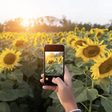 Iphone Photography
